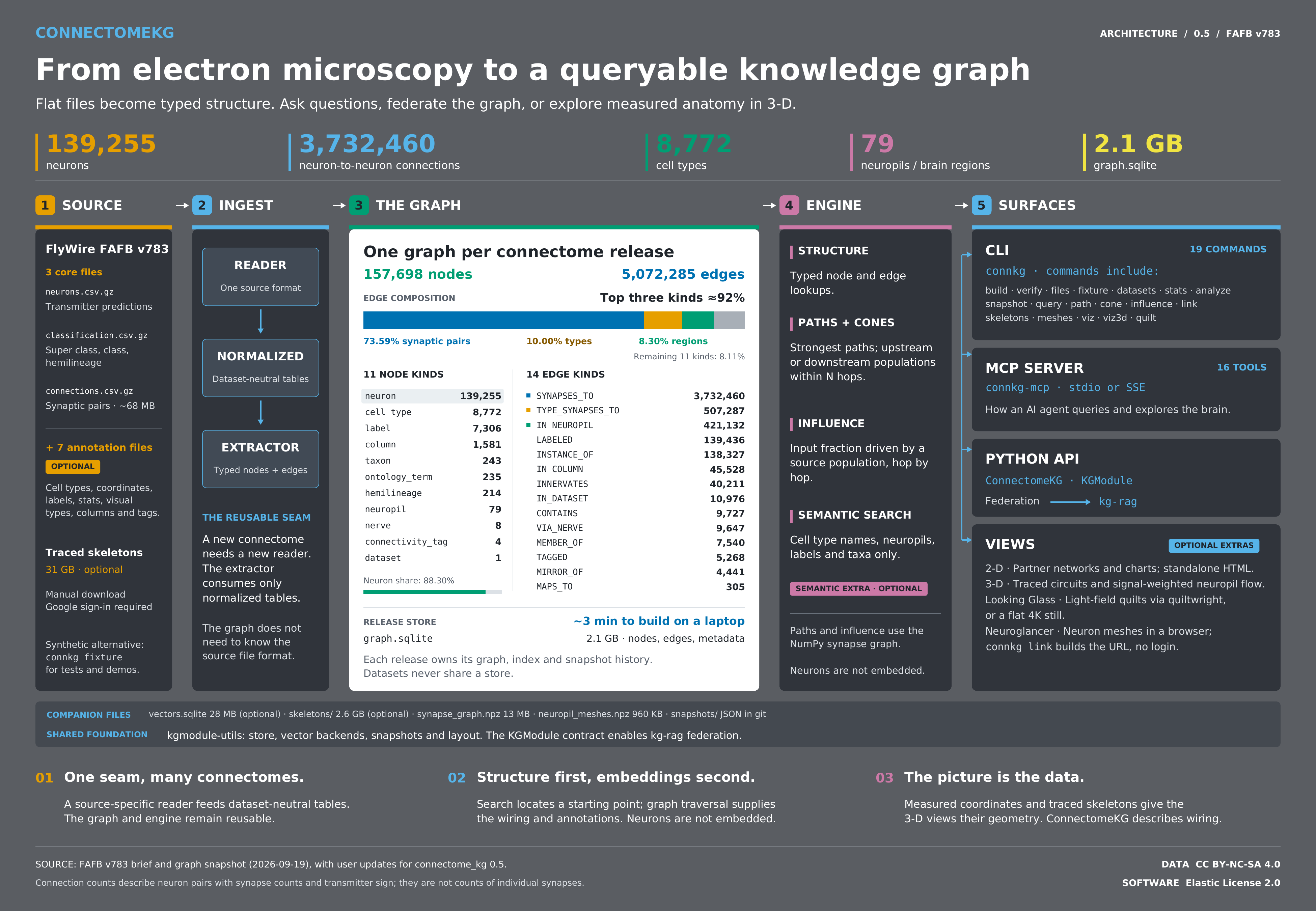 ConnectomeKG architecture: source files to ingest, graph, engine and surfaces
