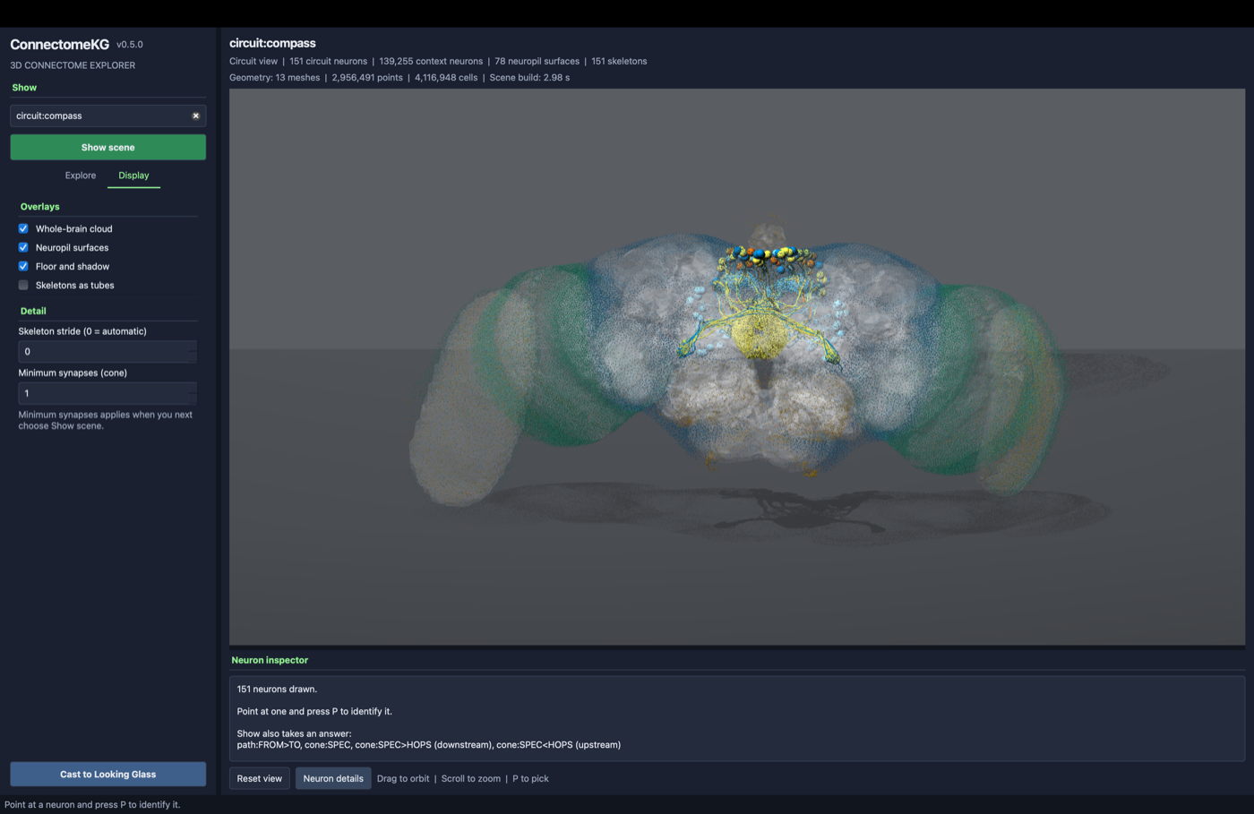 The Display tab, with the overlay toggles and the detail settings