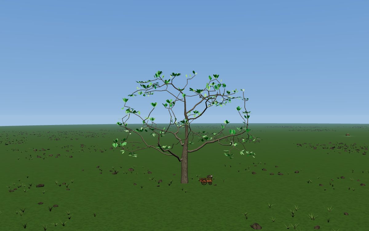 A Vindication of the Rights of Woman as a tree: an English oak with an open crown