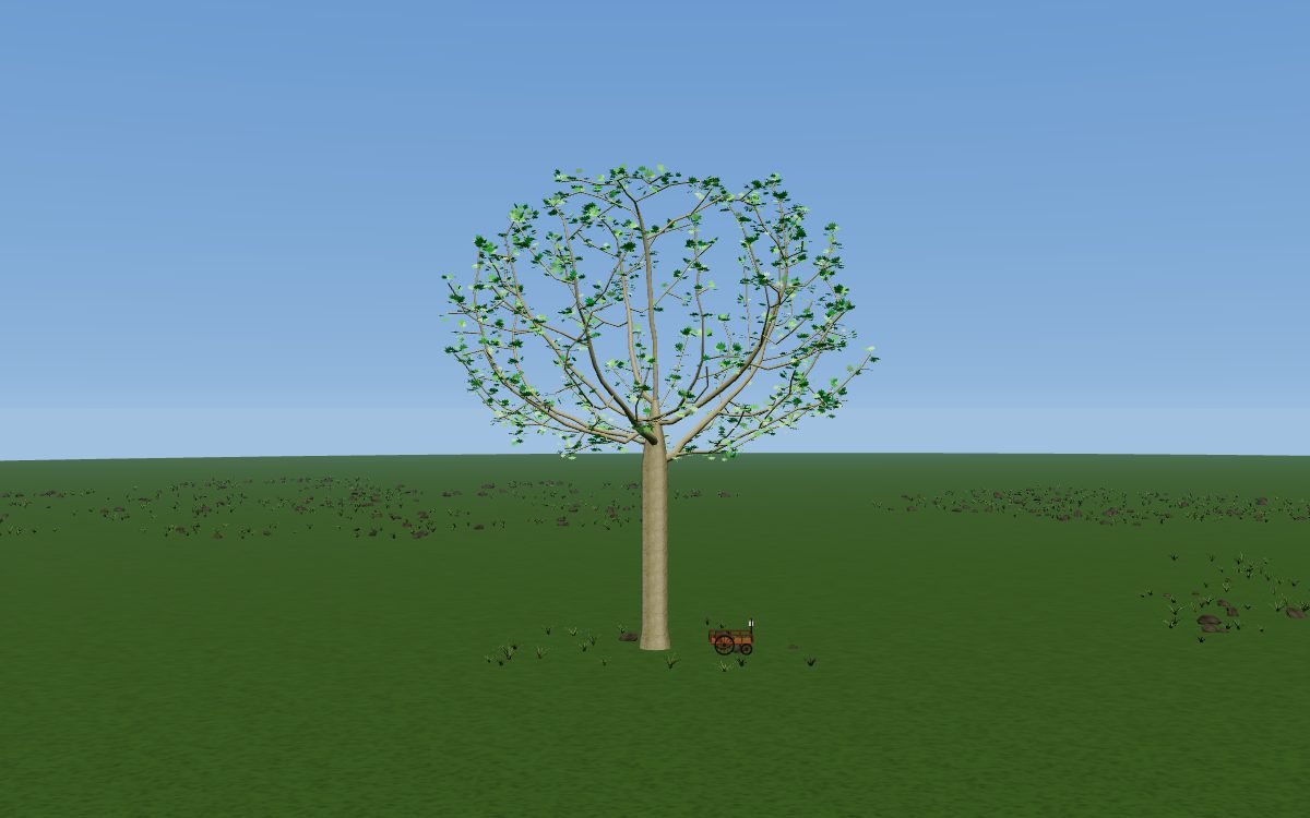 Don Quixote as a tree: a London plane with a broad round crown