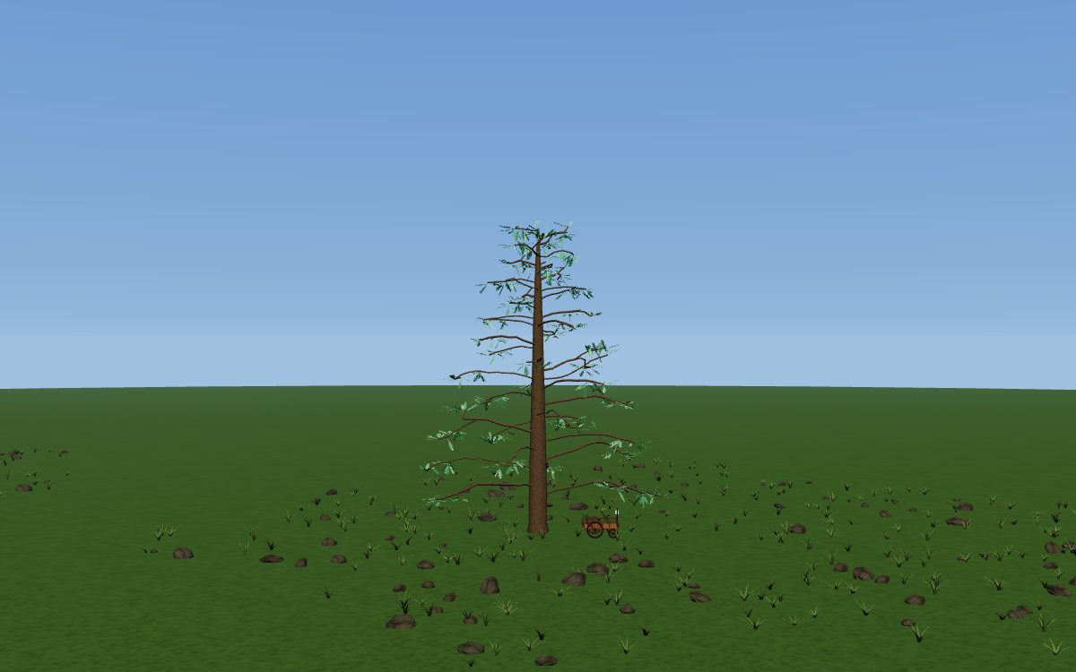 Frankenstein as a tree: a silver fir, shorter than Darwin's