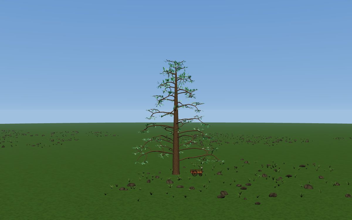 On the Origin of Species as a tree: a silver fir with level tiers of branches