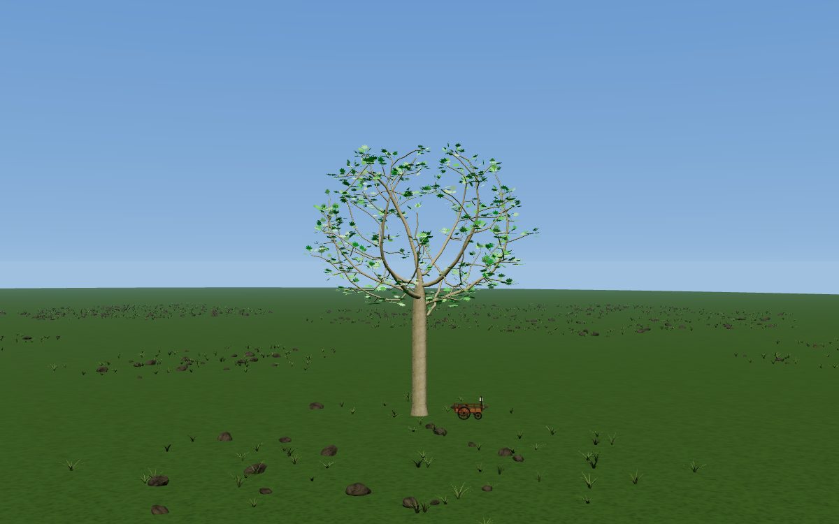 One Thousand and One Nights as a tree: a London plane with a round crown