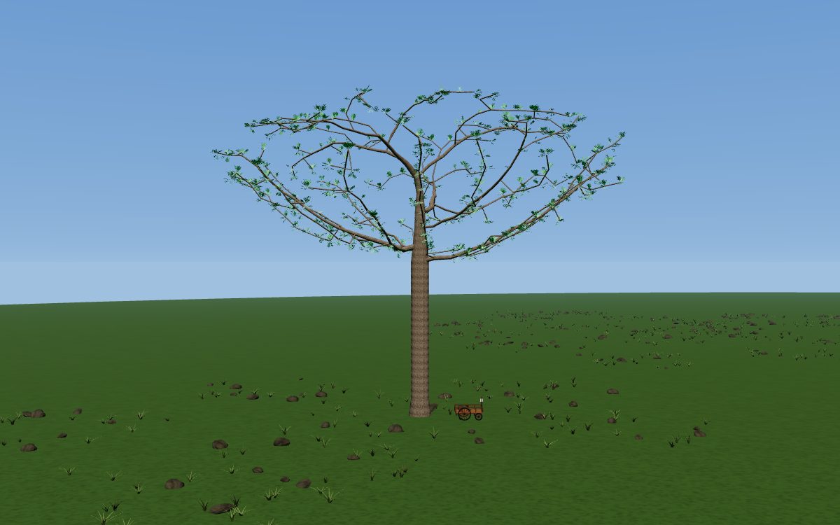 The Bible as a tree: a stone pine with a wide, flat umbrella crown