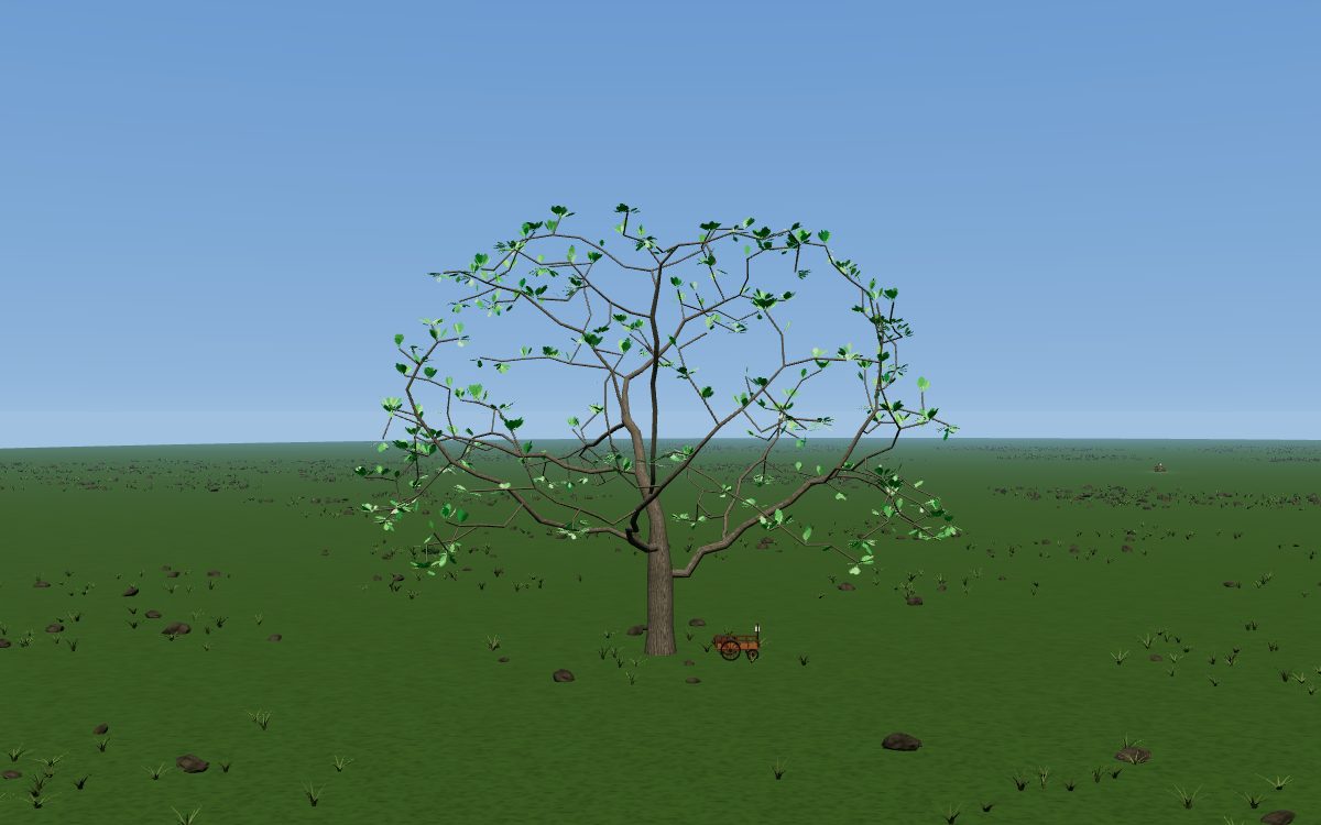 The Republic as a tree: an English oak with a wide, low crown