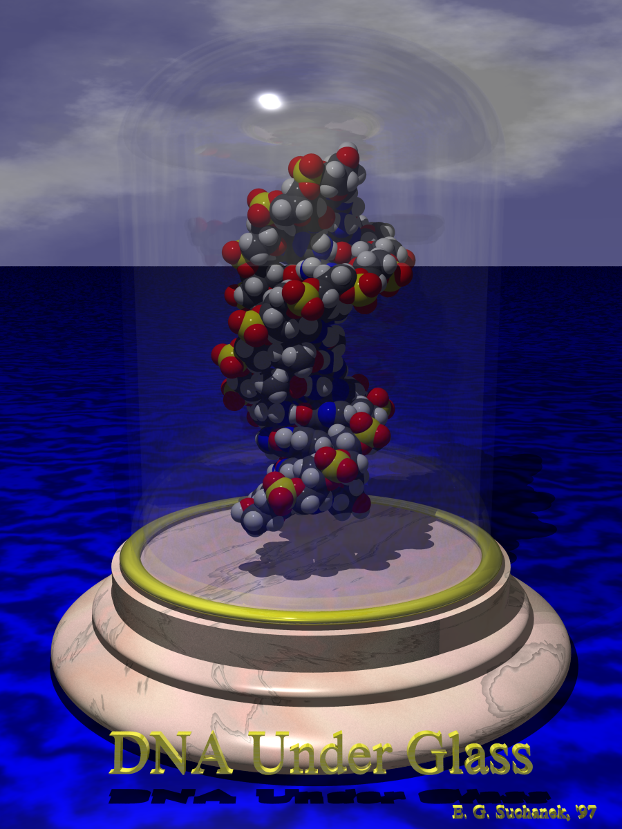 DNA under glass