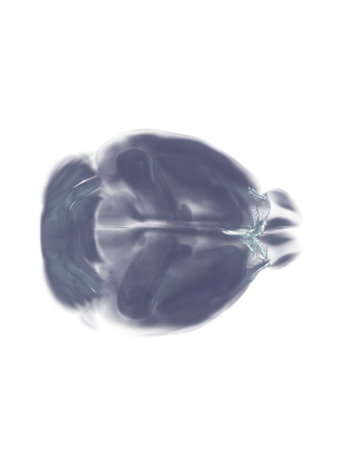 Allen mouse brain CCFv3