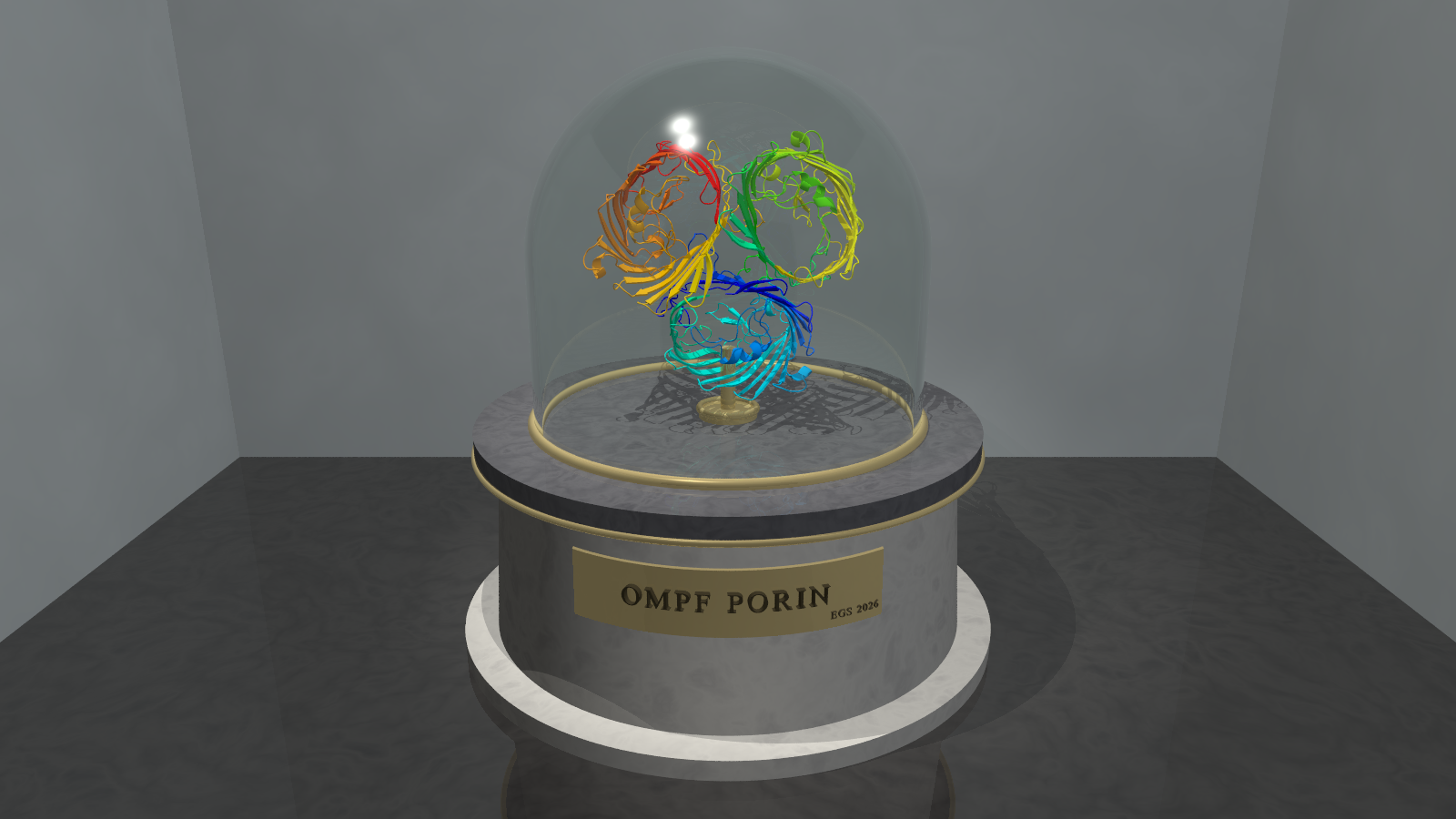 OmpF porin, as a cartoon